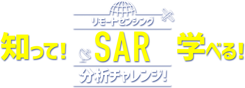 知って！学べる！SARデータ分析チャレンジ